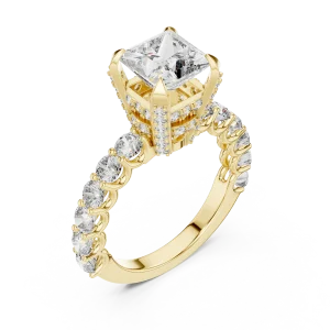 Architectural Princess Cut Hidden Halo Solitaire Ring